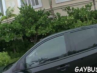 homosexual tumblr sex sparks hidden desires