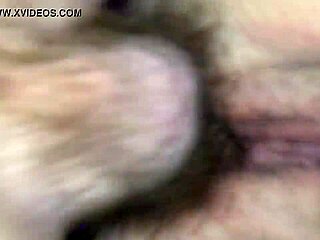 BBW Girlfriend Enjoys Intimate Moments With Friend