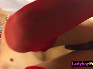 handcuffed ladyboy sucks white dick then gets fucked in ass