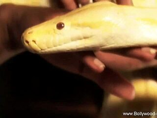 The beautiful indian woman performs a seductive dance to arouse her partner.