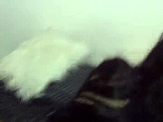 Kamilly Campos feels intense pleasure as client fucks her passionately