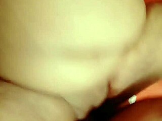 sundaydogood614 - update 121 - vid 20240329 094245 - mar 29 2024