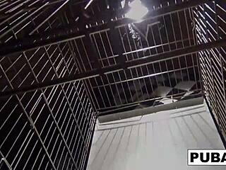 sexy dani daniels trapped like a bitch in a cage.