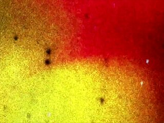 tgirls xxx, uh, stunning destiny's body got me shook!