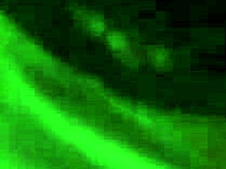 Best Head Ever on Xvideos With Big Ass Beauty