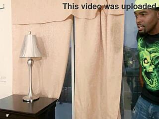 phat ass babe harmony rose pussy fucked by rome major