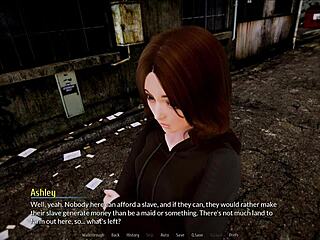 What’s Happening in Harem Hotel 257? You Gotta See This!