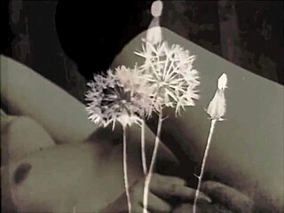 two centuries of vintage pornography