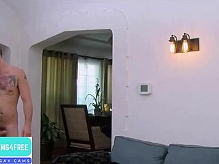 Yo dudes, join us for this wild gay orgy on gaycams4free com