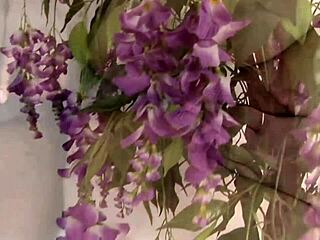 interracial sex scene with a hot fat girl and a black guy with a big dick 😍