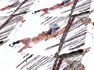 hey nina rivera, having a blast with don whoe in the snow, huh?