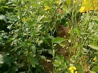 Husband fucks wife in mustard field outdoor