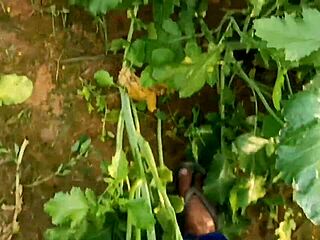 Husband fucks wife in mustard field outdoor