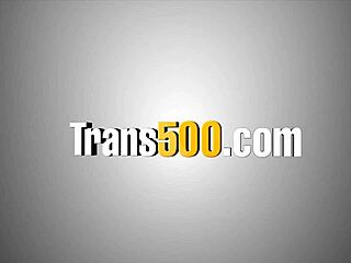 Wow! Constricted Shemale’s Big Ass Pounded Hard in Wild Anal Action