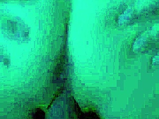 Hey, check my wild oral clips with my hung husband!