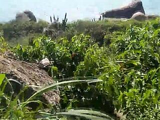 She Makes Me Cuckold On Beach With Guys