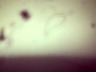 come and cum on my hard fat dick