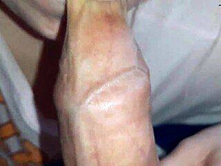 Girl gives CLOSE-UP blowjob EARLY MORNING, cum in mouth