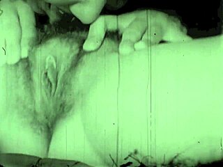 dark lantern entertainment unveils the mysterious dragonfly in vintage style