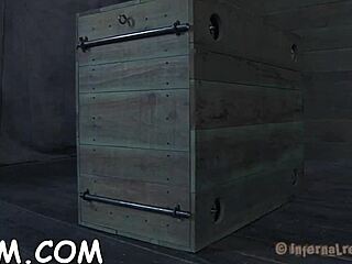 Chained Up Beauties Get Their Cookie Drilled by Rough Cock in Bondage.