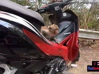 Amateur Asian Teen 18+ Enjoys Big Cock Boyfriend