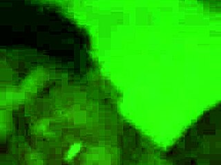 Intimate Moments With My Girlfriend's Pussy And Ass.