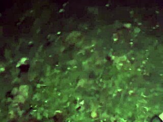 Dirty Camping Sex with Big Ass Blonde Slut in Wild Action