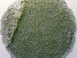 Nympho inserts giant dildo in ass and begs well-endowed man to finish anal service in scene 100