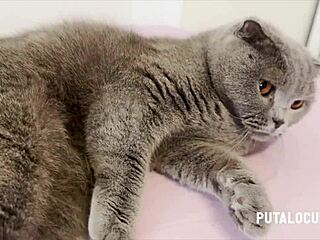 reading a book while banging a shaved brunette