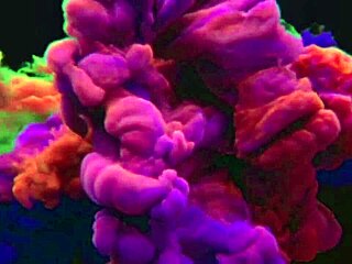 Slut Sucks In Hotel, Wants More Anal Fuck