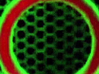 Busty Vicky Vette Loves Dildo And Anal Plug!