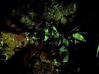 Vintage Erotic Drawings Showcase Retro Anime in Sensual Antique Style