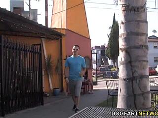 Lizzie tucker interracial sex - cuckold sessions with big black cock