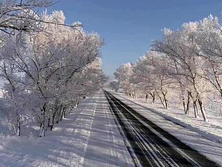 Russian Amateur Babe Nikki Riddle Fucks Monster Cock with Victor Bloom in Hotel