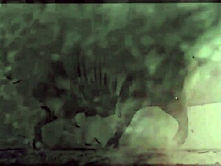 Dark Lantern Entertainment unveils retro beauty with hairy charm. Vintage beastly desires spark in antique setting.