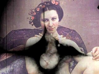 what secrets hide in this vintage erotic illustration from the past?