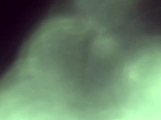 Amateur milf gives homemade blowjob and handjob