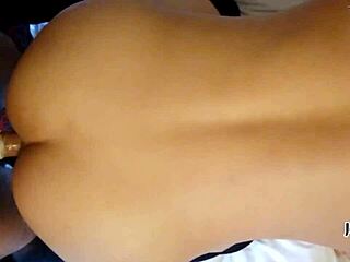 Shemale Enjoys Doggy Style in Sexy Lingerie and Stockings