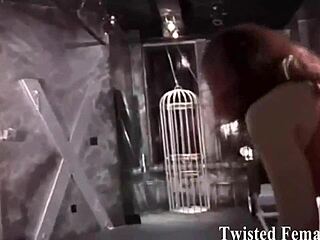 How Long Can You Resist Cumming Under My Domination, Slave? Hold It Now!