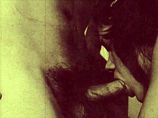 My Secret Life Vintage Taboo Series