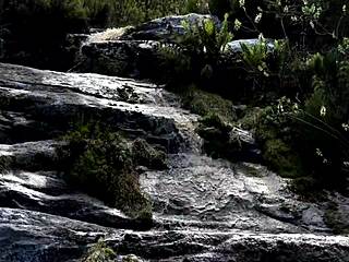 Dominatrix Mistress April Whips Slave Nanny In Brutal Session