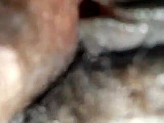 Pussy fuck in dorm with tight beaver