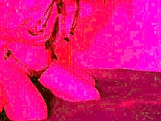 lazycatdoll says, 'try my new lingerie and cum!'