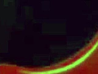 i feel my husband diving into my wet pussy while playing free fire