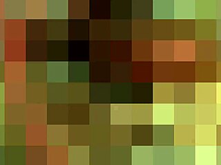 I finally met my shemale dream girl for some anal 😍