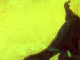 Vintage illustration from antique collection