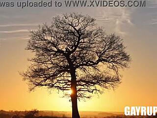 dirty secrets unfold with nico, jc, carter, and cody 🔥