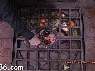 Free Sadomasochism Video with Rough Oral Play