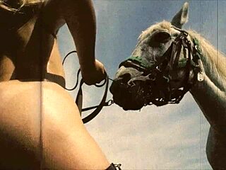 Dark Lantern Entertainment Presents Beauty And The Beast