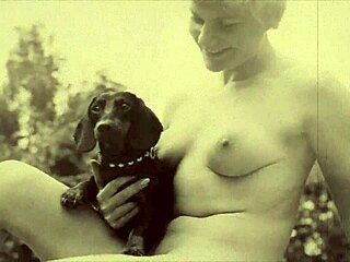 Dark Lantern Entertainment Presents Beauty And The Beast